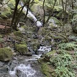 Cataract Falls Trail - 1.10.26