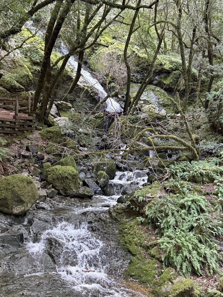 Cataract Falls Trail Logo