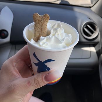 Dutch Bros Coffee - Pup cup from Dutch Bros. 4.10.22 - Juice Bars & Smoothies Near Me - Cypress, Texas Dutch Bros Coffee - Pup cup from Dutch Bros. 4.10.22 - Juice Bars & Smoothies Near Me - Cypress, Texas
