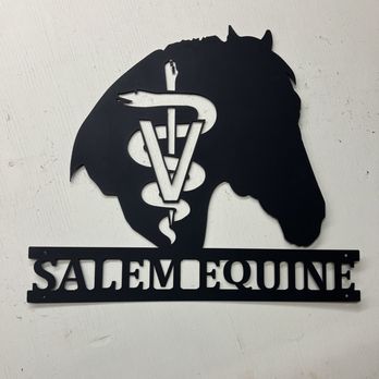 Salem Equine Mobile Service - Your horse's health is our everyday goal - Veterinarians Near Me - Winston-Salem, North Carolina Salem Equine Mobile Service - Your horse's health is our everyday goal - Veterinarians Near Me - Winston-Salem, North Carolina