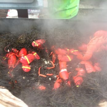 Purity Spring Resort - Thursday lobster cookout - Resorts Near Me - Madison, New Hampshire