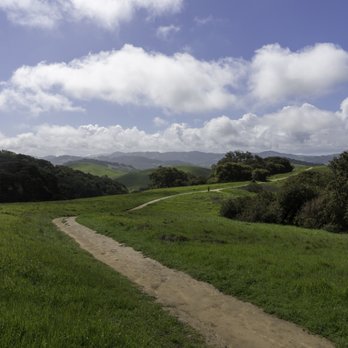 Michael Murphree - COMPASS - Real Estate Agents Near Me - Petaluma, California