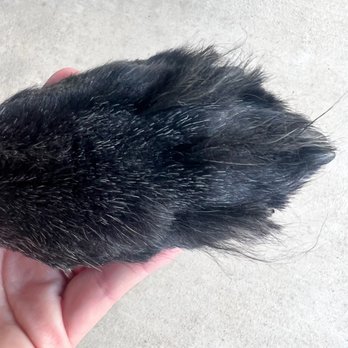209 Club Pet - long hair, missed areas - Pet Groomers Near Me - Stockton, California 209 Club Pet - long hair, missed areas - Pet Groomers Near Me - Stockton, California