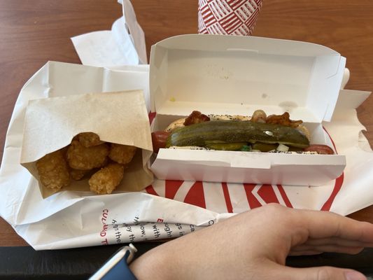 America's Dog by null