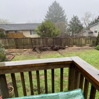Oregon Arborist - Tree Services Near Me Oregon Arborist - Tree Services Near Me