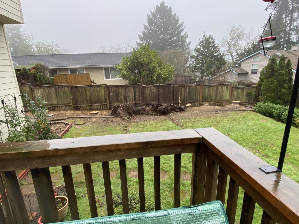 Oregon Arborist - tree service in McMinnville, OR