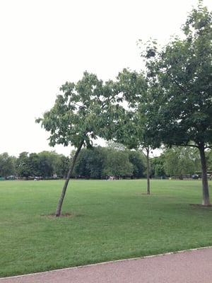 Queen's Park by null