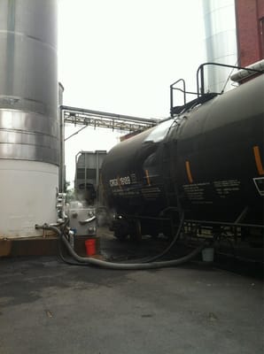 Lion Brewery by null