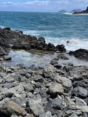 Kailua Beach Adventures by null