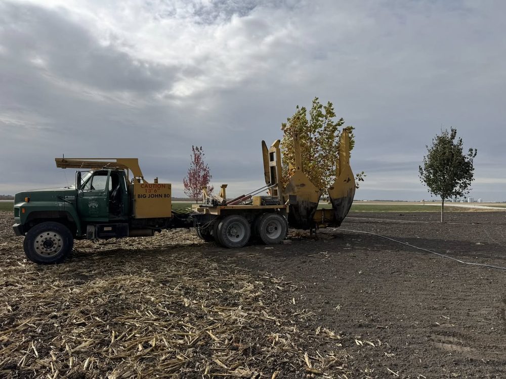 Kalonial Lawn Care - tree service in Wellman, IA