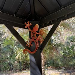 Tierra Fina - Orange lizard we previously bought