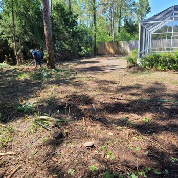 Southern Cuts Tree Service - Tree Services Near Me Southern Cuts Tree Service - Tree Services Near Me