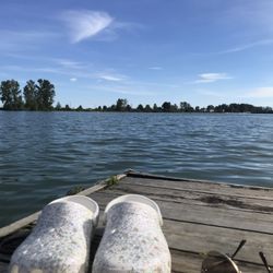 Deas Island Regional Park