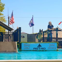 Dock Diving