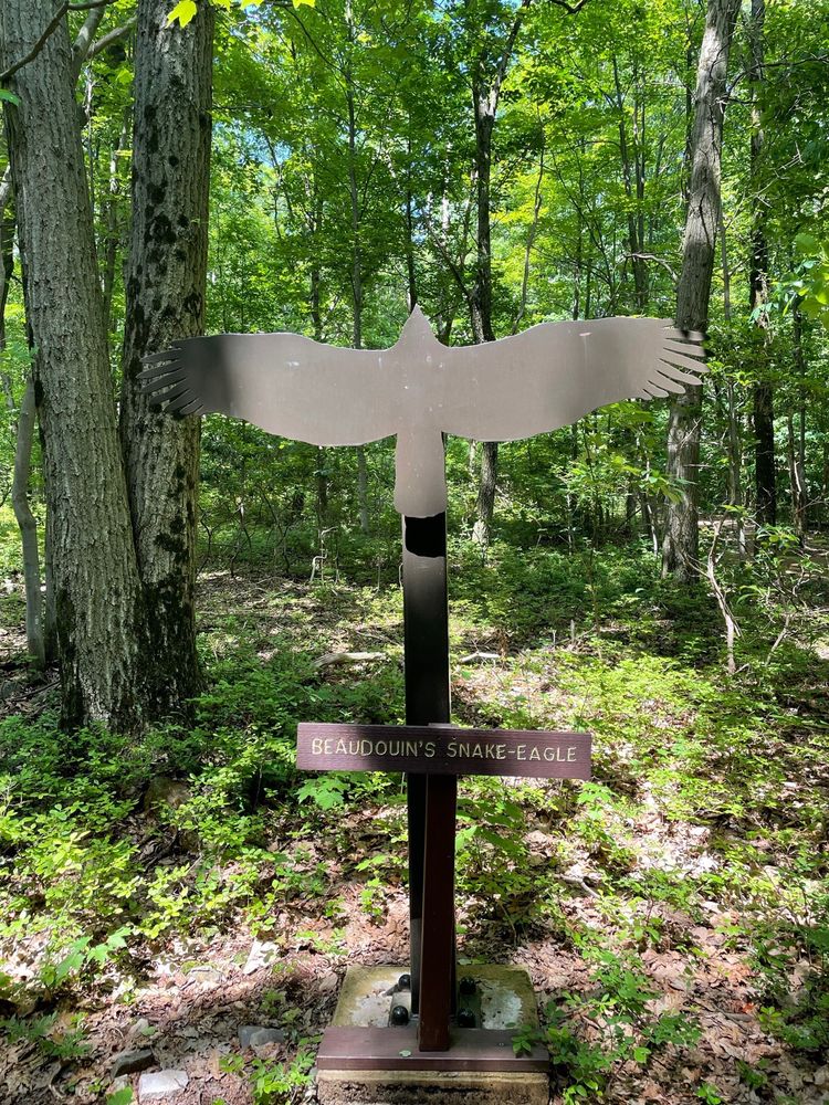 HAWK MOUNTAIN Updated September 2024 135 Photos & 50 Reviews 1700 Hawk Mountain Rd