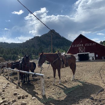 Elkhorn Stables - When you first enter. - Horseback Riding Near Me - Estes Park, Colorado Elkhorn Stables - When you first enter. - Horseback Riding Near Me - Estes Park, Colorado