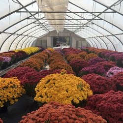 Equinox Valley Nursery
