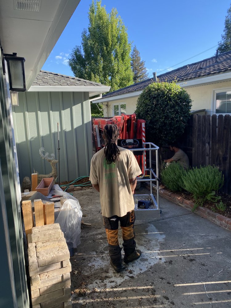 Capital Arborists Inc - tree service in Rocklin, CA