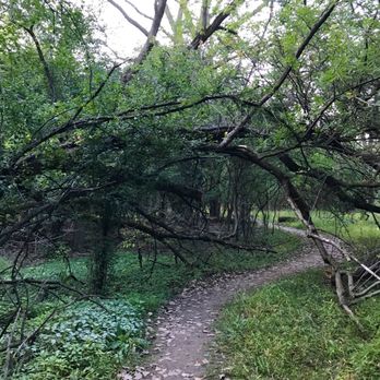 Skokie Lagoons - Paths through tree limbs - Hiking Near Me - Glencoe, Illinois Skokie Lagoons - Paths through tree limbs - Hiking Near Me - Glencoe, Illinois