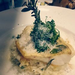 Quer Beet - Zander mit Aprikosen-Risotto. Es war ein Traum!