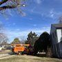 Photo of Phillips Tree Care