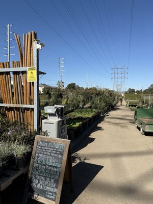 C & S Nursery by null