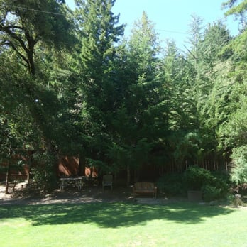 Alice's Restaurant - Diners Near Me - Woodside, California