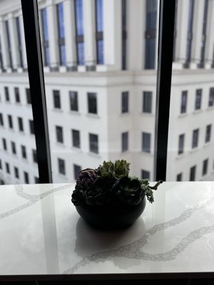 Loews Coral Gables Hotel by null