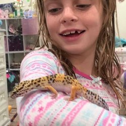 Healthy Pet