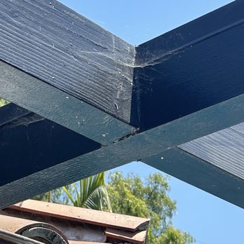 Hawx Pest Control - Spider webs - Pest Control Near Me - Walnut, California Hawx Pest Control - Spider webs - Pest Control Near Me - Walnut, California