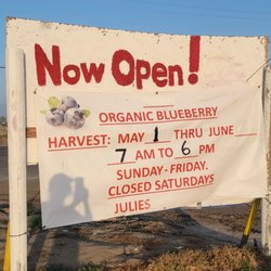 Julie's Organic Blueberry Upick