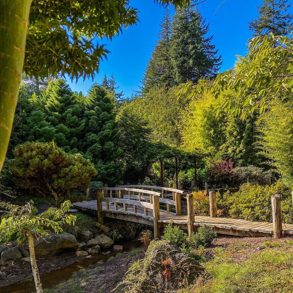 MINGUS PARK Updated September 2024 44 Photos & 10 Reviews 1100