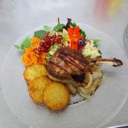 Alt-Hiddenhausen - Wollschweincaree'