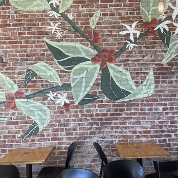 Cherry Bean - Coffee & Tea Near Me - Denver, Colorado