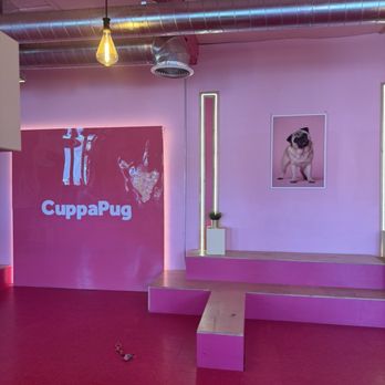 Cuppa Pug - The stage - Themed Cafes Near Me - Escondido, California Cuppa Pug - The stage - Themed Cafes Near Me - Escondido, California