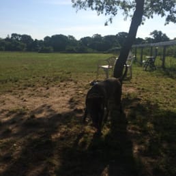 this is a huge open dog run with great parking. it's fenced in with two sections; one for small and one for large dogs