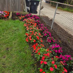 Rafael Landscaping