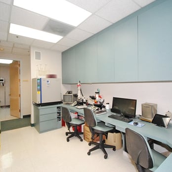Bruce R Gilbert MD, PhD, PC - Laboratory - Fertility Near Me - Great Neck, New York Bruce R Gilbert MD, PhD, PC - Laboratory - Fertility Near Me - Great Neck, New York