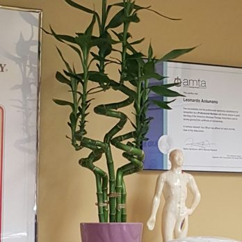 Healing Balance Therapies - Bamboo - Massage Therapy Near Me - Delray Beach, Florida Healing Balance Therapies - Bamboo - Massage Therapy Near Me - Delray Beach, Florida
