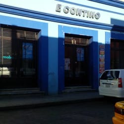 Contino - Contino Bustamante