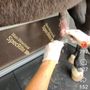 Photo of Exclusively Equine Veterinary Services
