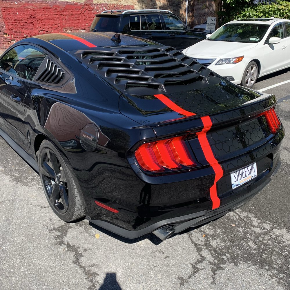 BEAVER BODY & PAINT Updated September 2024 140 Photos 9 Garden