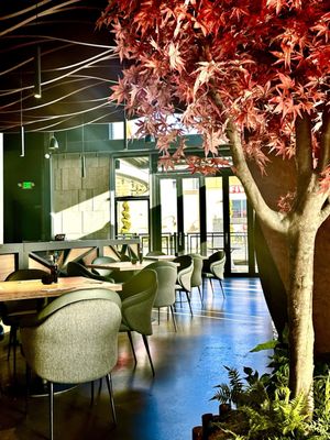 Mori Sushi & Grill by Aji by null