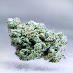 Spark1 - Pineapple Fields