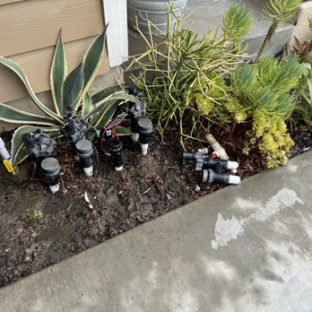 EJ landscape - My new sprinkler valve. The others still work fine, but will need to be replaced eventually. - Landscaping Near Me