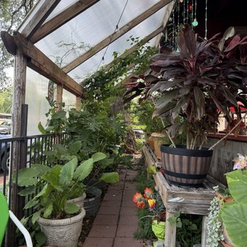 Magnolia Cafe South - Breakfast & Brunch Near Me - Austin, Texas Magnolia Cafe South - Breakfast & Brunch Near Me - Austin, Texas