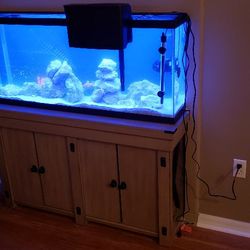 Reefs-A-Lot - Custom installations
