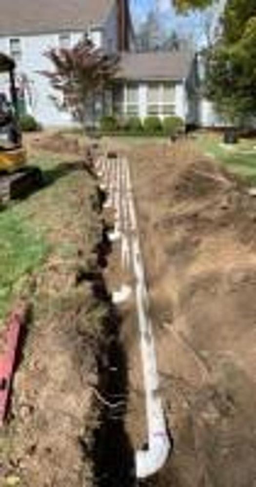 Slide of Bianca Excavating