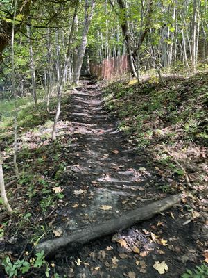 Pictured Rocks by null