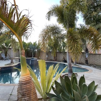 Family Tree Service - Landscaping Near Me Family Tree Service - Landscaping Near Me